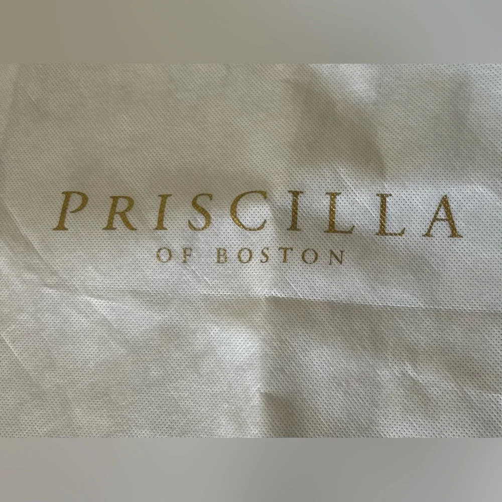 “Priscilla of Boston” Wedding Bridal Gown Garment Bag or Bridesmaid Gown Bag